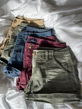 5 Pair American Eagle Outfitters Women's Shorts - Olive, Burgundy, Blue, Tan